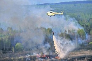 Другий день палає: у Чорнобильській зоні вогонь охопив 7 га землі