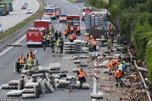 "Кури не винні": В Австрії 7 тис. курей випали з фури і заблокували автобан