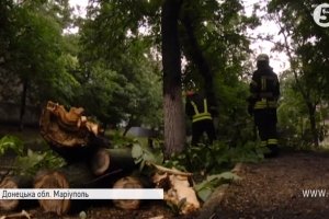 Зливи, вода, шквальний вітер: як в Україні негода лютує – відео