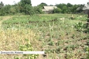 Рік без світла та електрики: як виживають в АТО під обстрілами мешканці Жованки