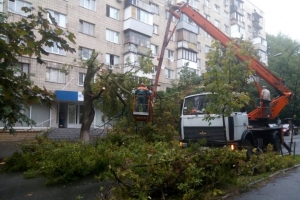 В Україні через негоду без світла залишились майже 90 населених пунктів