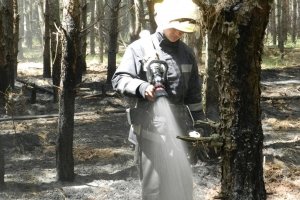На Херсонщині горить ліс – ДСНС