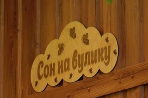 У Кропивницькому освоюють новий вид реабілітації бійців АТО – бджолами