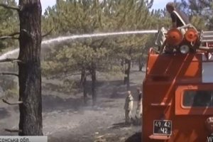 Пожежі у лісах Херсонщини: хто за цим стоїть та які обмеження вводить ОДА