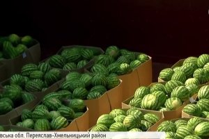 Вояж до столиці: як на Київщину ціла баржа кавунів дісталась – ФОТО