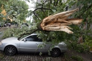 Негода у світі: Польщу накрив потужний шторм, а в Португалії не вщухають лісові пожежі