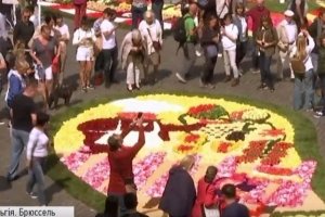 ФОТО: У середмісті Брюсселя розстелили килими з квітів та фруктів 