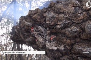 Залишились самі руїни: на Луганщині і досі тліють хати цивільних