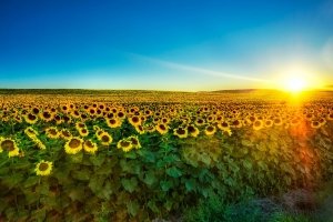 З днем народження, країно! – Україна святкує День Незалежності