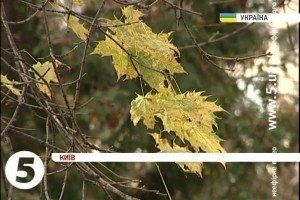 Синоптики обіцяють бабине літо до 15 листопада