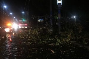 Раптовий буревій: як у Чернівцях негода побешкетувала – ФОТО
