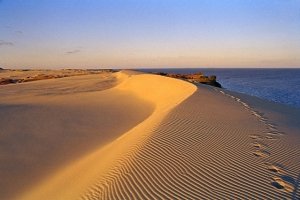 Пляж Литви пильнуватиме робот-рятувальник