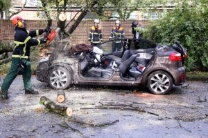 Викорчувані дерева, постраждалі автівки і люди: Німеччина потерпає від урагану "Ксав'єр" – фоторепортаж