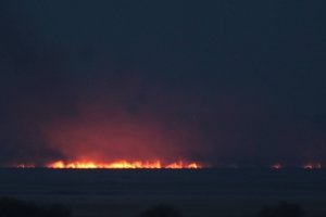 "Лихо для тварин та птахів": На Одещині загорівся Національний природний парк