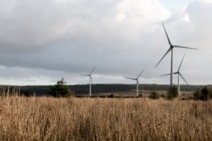 У Запорізькій області побудують найбільшу в Європі вітряну електростанцію