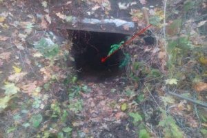 На Донеччині правоохоронці знайшли схрон з боєприпасами