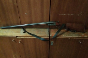 На Миколаївщині п'яний мисливець підстрелив 9-річну дівчинку
