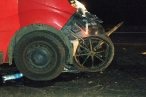 ДТП на Одещині: Запряжений кіньми віз в'їхав у мікроавтобус