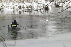 Як із крижаної пастки рятувальники дістали лебедя з травмованим крилом