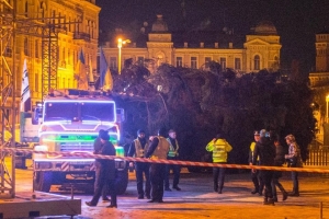 "Зворушлива, сповнена магії подорож": головна ялинка країни з'явилась на Софійській площі