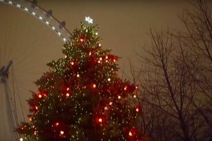 Дерево пам'яті: У Лондоні встановили незвичайну ялинку