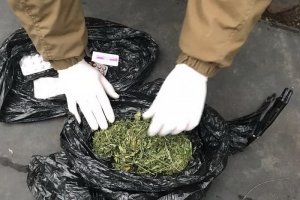 СБУ затримала у зоні АТО наркоугруповання, до складу якого входили поліцейські