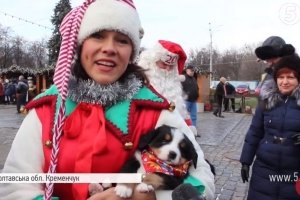 На Полтавщині влаштували парад собак