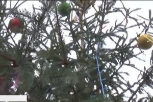 У Черкасах з новорічної ялинки поцупили іграшки