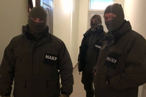 НАБУ навідалося з обшуками до заступниці голови ДМС Пімахової
