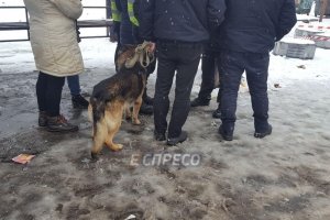 У Києві зарізали чоловіка біля маршрутки через зауваження