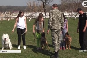 Навчать командам та порозумінню: як тренують собак у поліцейському кінологічному центрі Вінниці 