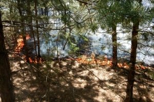 Окупанти проти ночі вдарили зі 152-мм артилерії: загорілися гектари лісів