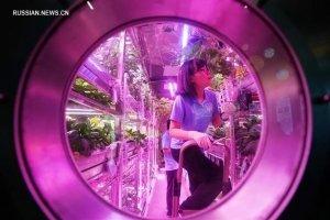 Новий світовий рекорд: чим завершився експеримент у Китаї з імітації життя на Місяці