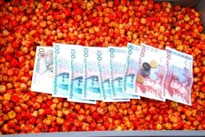 "Перспектив тут для нас немає": заробітчани розповіли про роботу в Європі