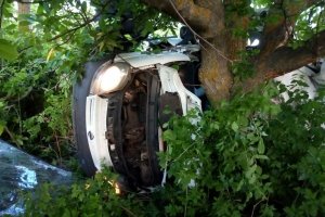 ДТП на Миколаївщині: мікроавтобус влетів у дерево – п'ятеро людей загинули