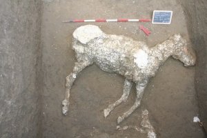 У Помпеях археологи розкопали стародавні стайні і відбиток коня