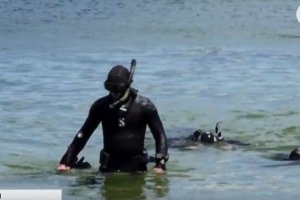 Працювати за стандартами "морських котиків" США: в Одесі проводять вишкіл для нацгвардійців