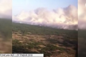 На Херсонщині горять ліси: назвали попередню версію займання