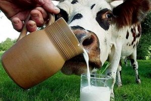 У МОЗ заявили, що радіації в українських продуктах не було і нема