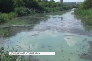 Білий колір, неприємний запах, мертва риба: під Маріуполем протухнула річка