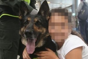Сафарі на "нюхача": наркоторговці Колумбії встановила ціну в $70 тисяч за голову собаки, що "накрила" 10 тонн кокаїну