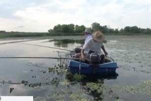 Зелені води, водяний горіх і "горе рибалкам": чому в Дніпрі меншає риби