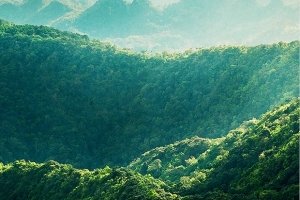 Порятунок дітей із печери в Таїланді: стало відомо, коли розпочнуться зйомки фільму