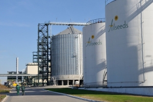 Ефективність групи Allseeds конвертувалася в довіру та капіталізацію