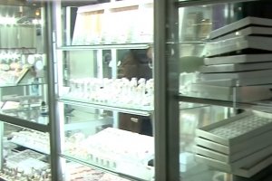 Винесли 10 кг золота: в окупованому Донецьку в комендантську годину пограбували ЦУМ &ndash; ЗМІ