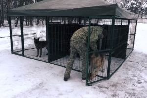 Турбота про чотирилапих: для службових собак розробили "дім на колесах" – фото, відео