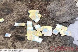 "Тримала, поки не приїхала поліція": на Запоріжжі затримали горе-грабіжника