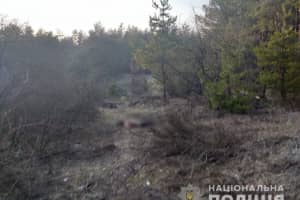 В селе на Харьковщине обнаружили тело военного-контрактника
