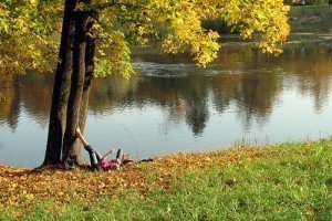 На вихідні в україні буде тепло та сухо - Укргідрометцентр