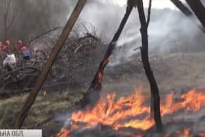Легенда – пожежа у лісі: як на Львівщині надзвичайники вишкіл проходили – репортаж